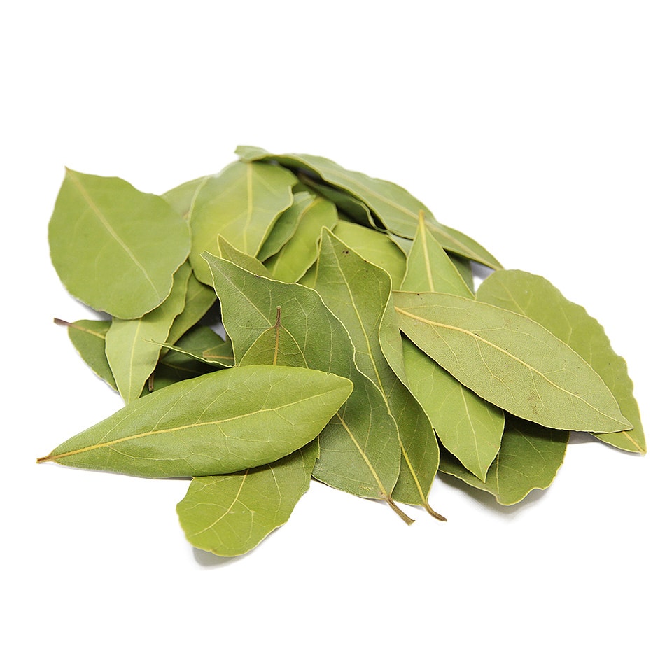 Bay Leaves PHS 4–7