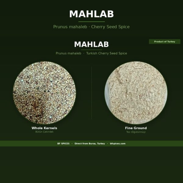 Mahlab (Mahlep)